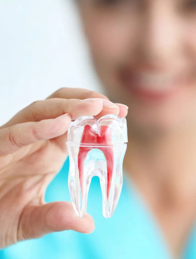Root Canal Therapy banner